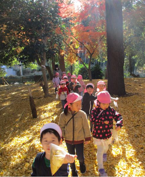 島名幼稚園散歩