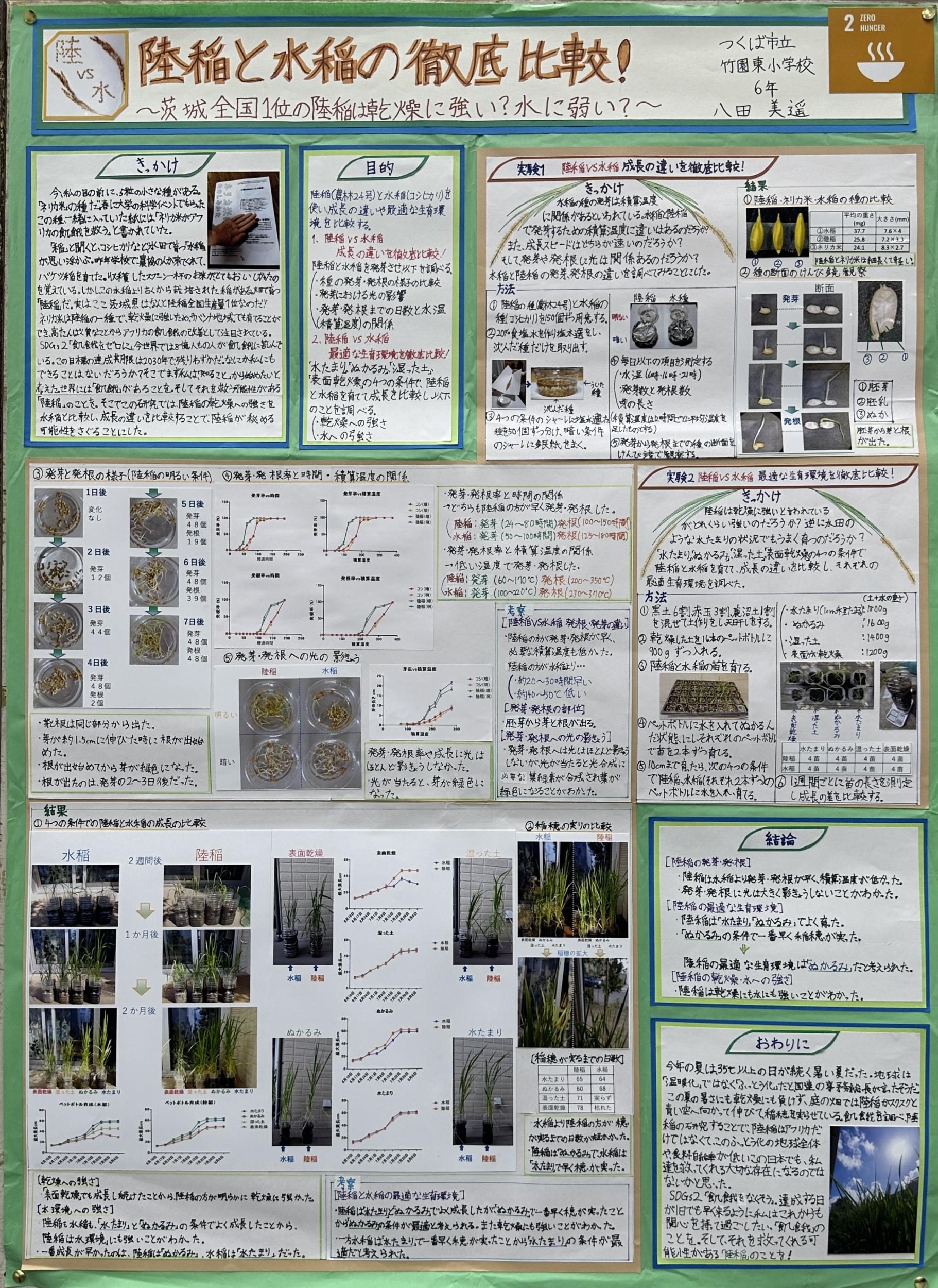 陸稲と水稲の徹底比較！