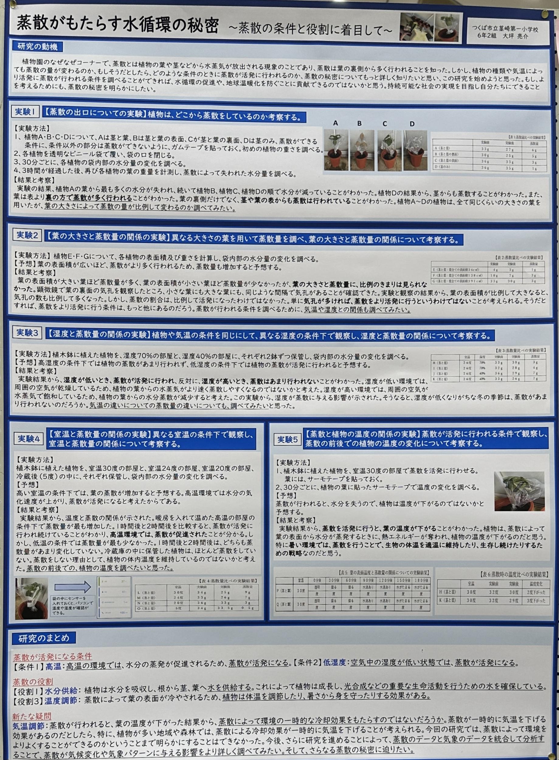 蒸散がもたらす水循環の秘密