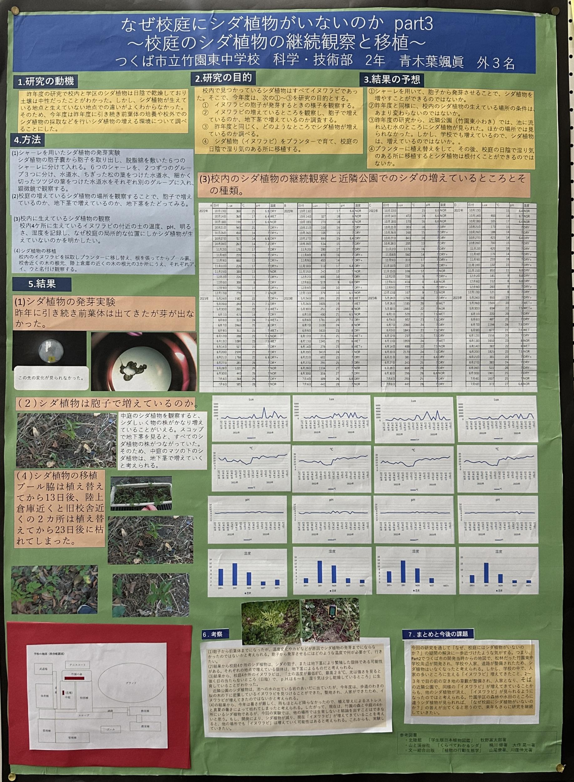 なぜ校庭にシダ植物がいないのか Part3