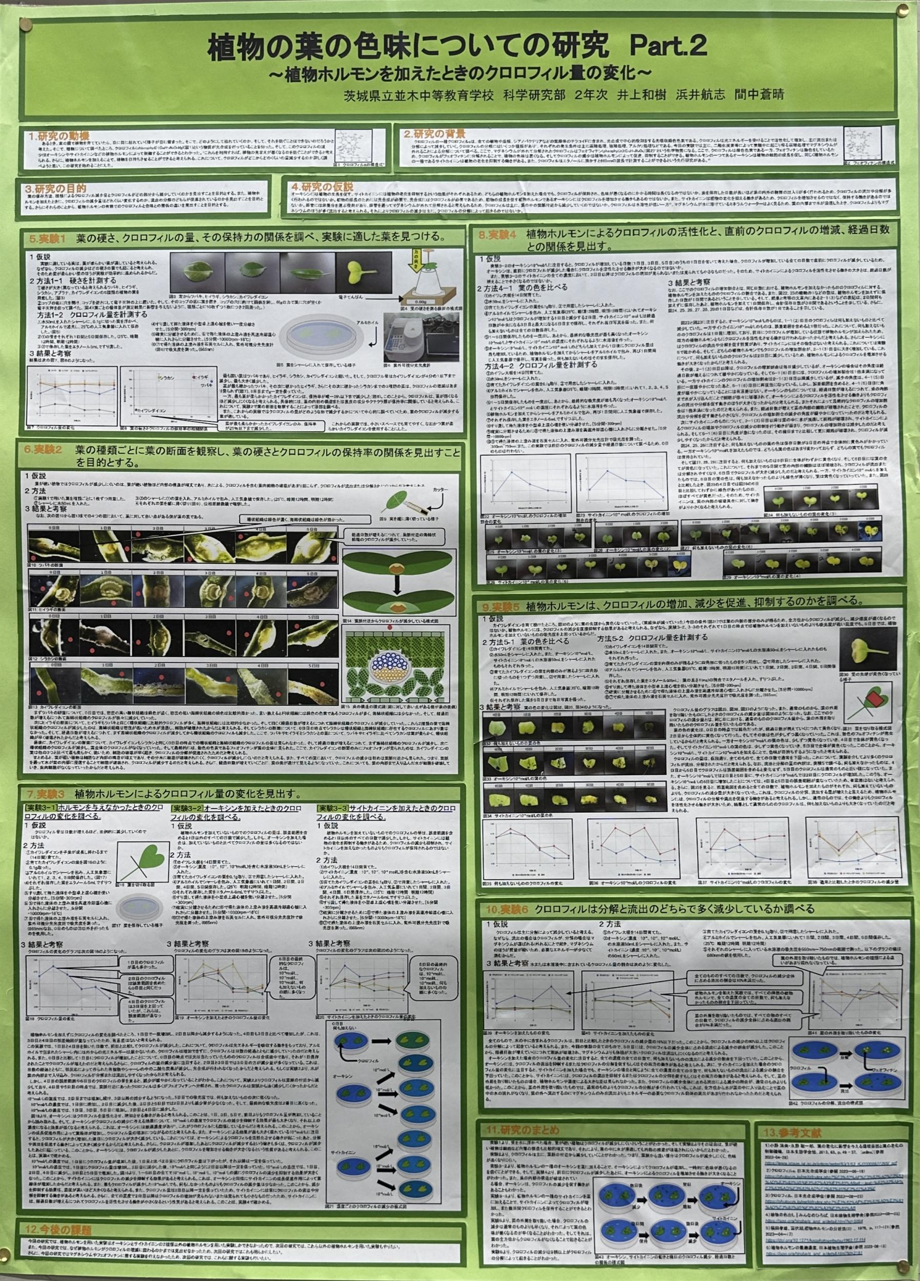 植物の葉の色味についての研究