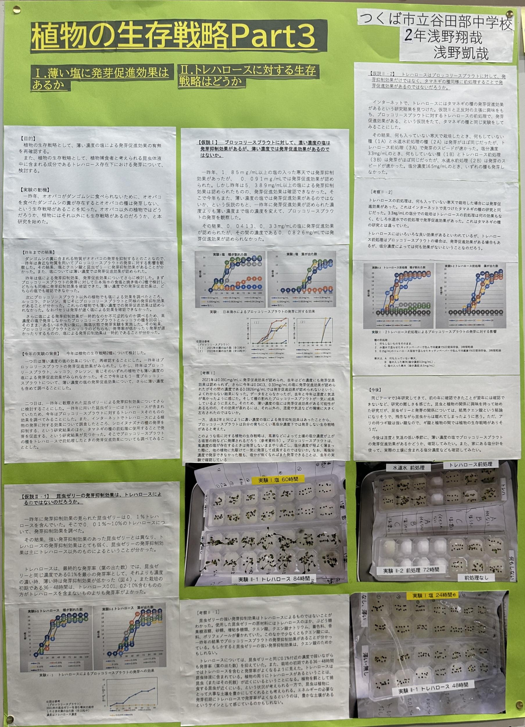 植物の生存戦略 Part3