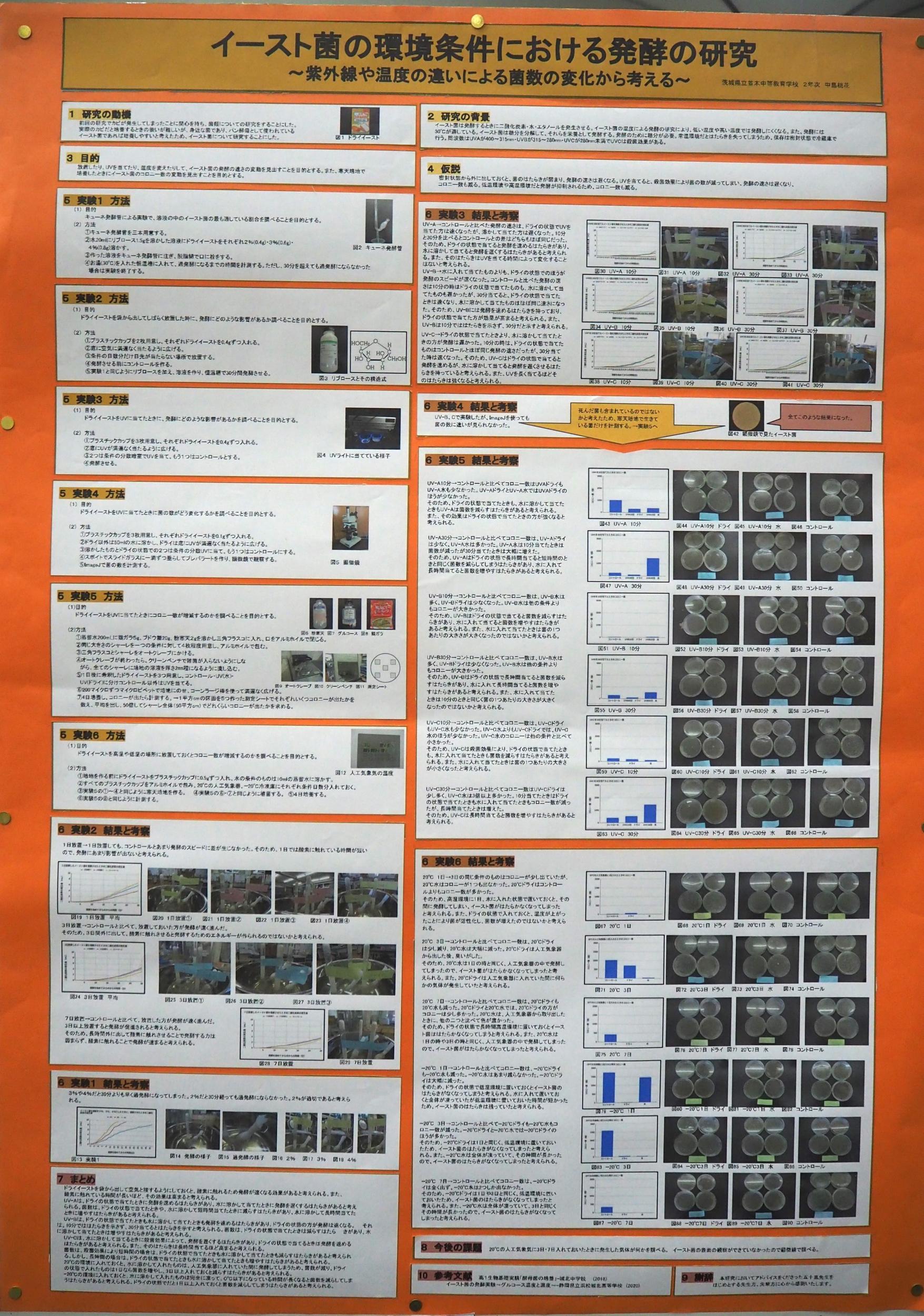 イースト菌の環境条件における発酵の研究R4