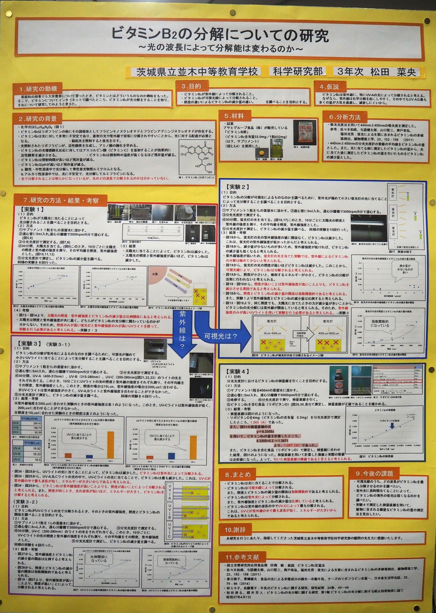 ビタミンB2の分解についての研究