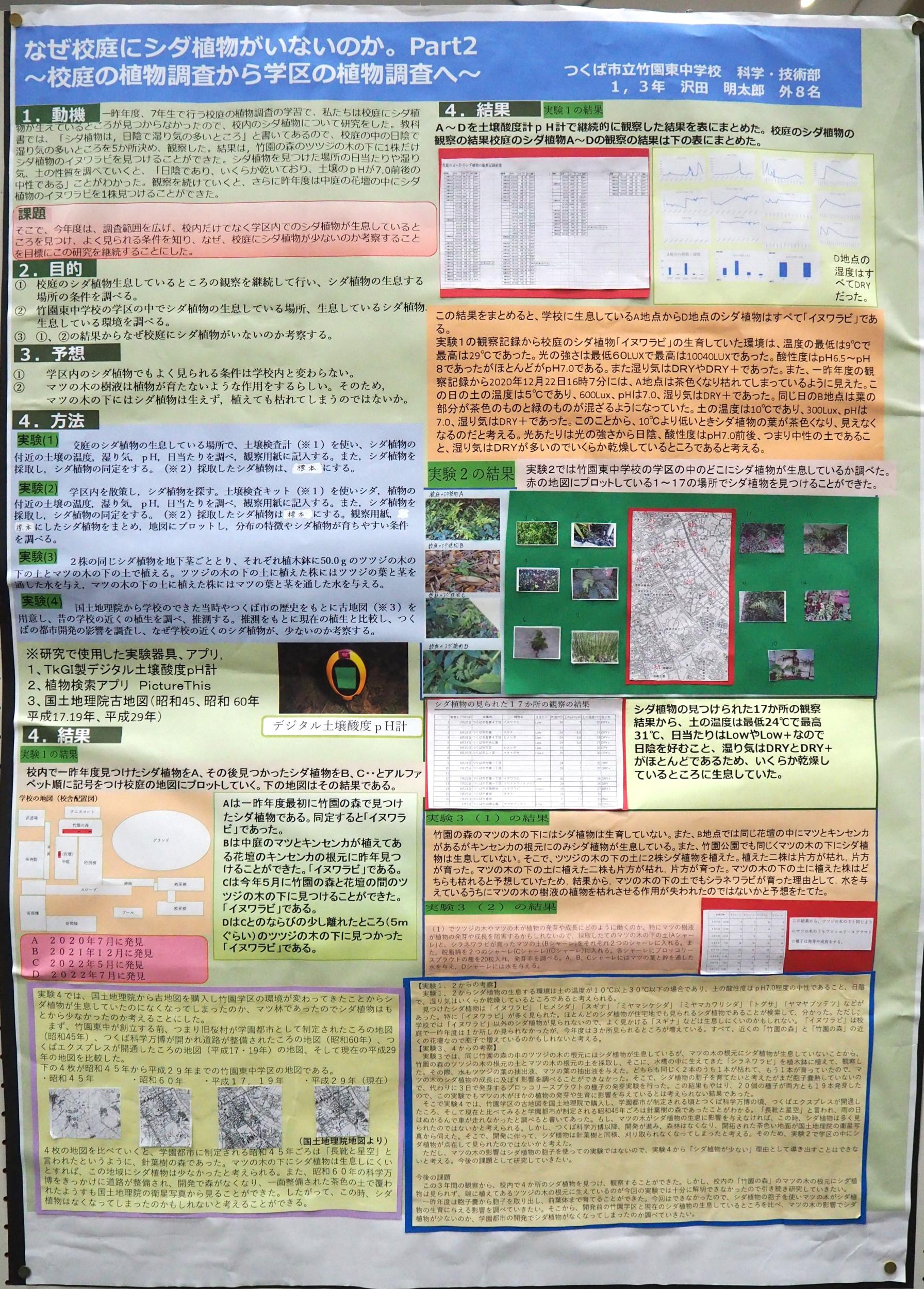 なぜ校庭にシダ植物がいないのか。Ｐａｒｔ２