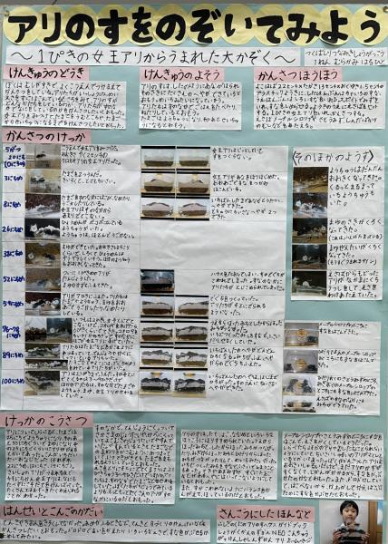 科学学習の手引きを掲載しました詳細をみる