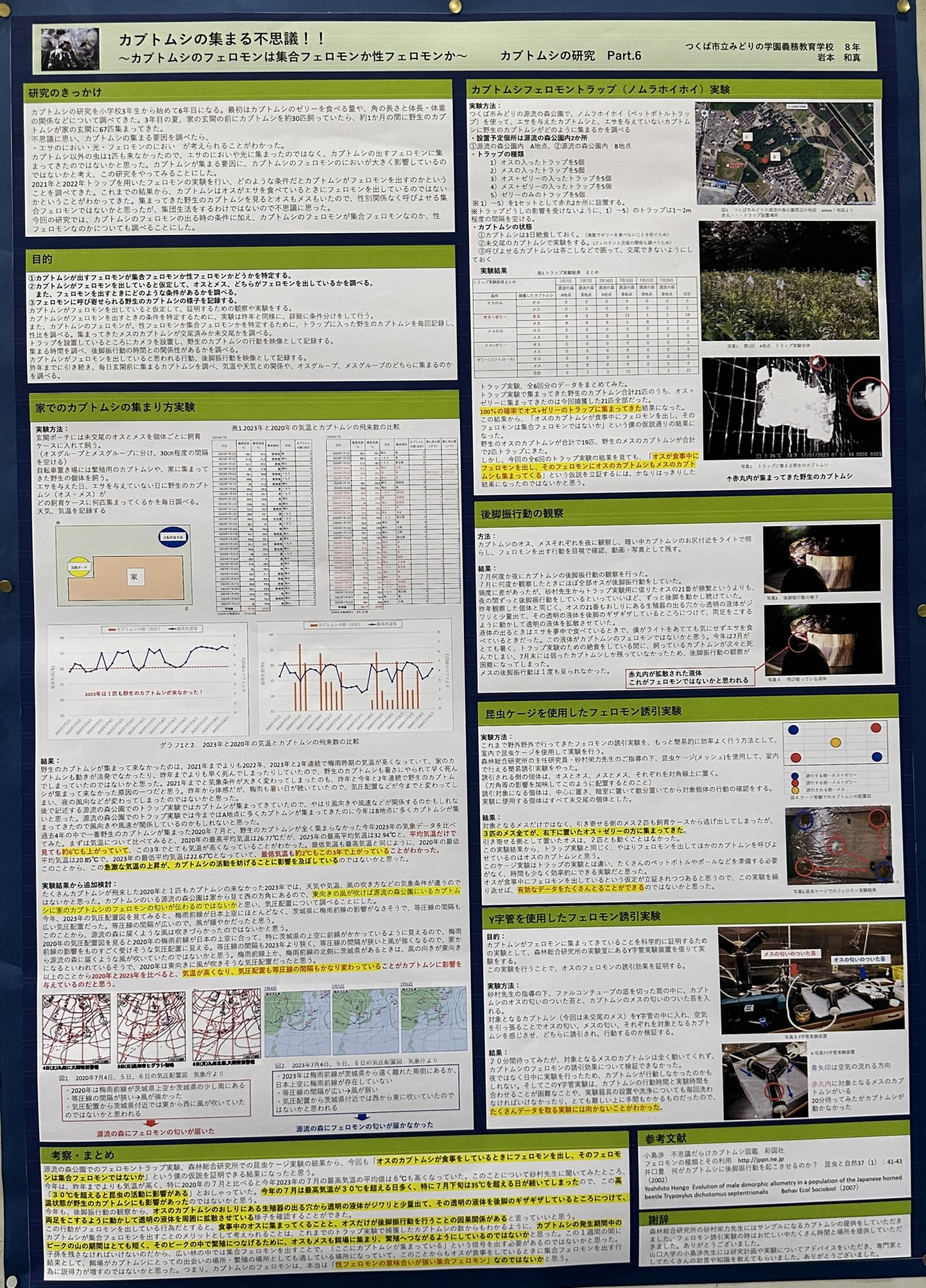 カブトムシの集まる不思議！！